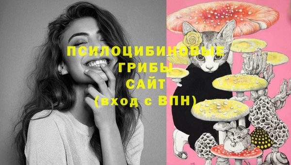 стаф Абинск