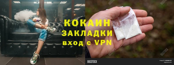 spice Новодвинск