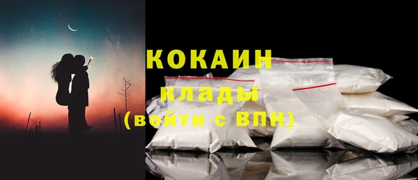 прущие грибы Болхов