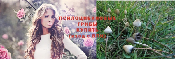 стаф Абинск