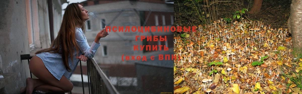 стаф Абинск