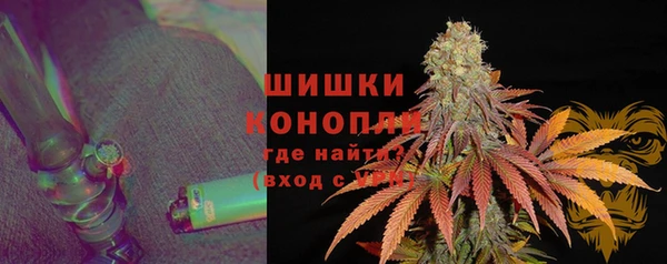 spice Новодвинск