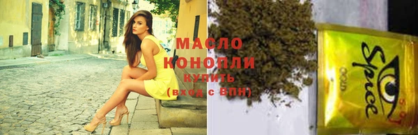 spice Новодвинск