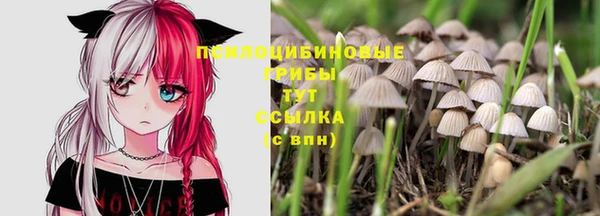 стаф Абинск